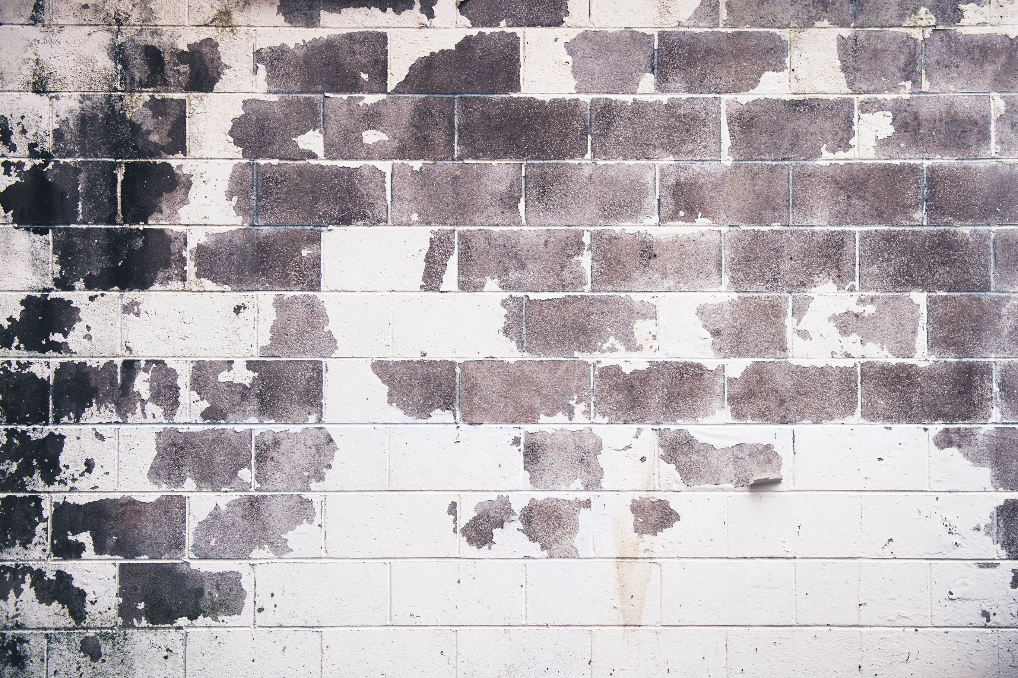 painting brick house