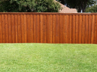 Fence Painting