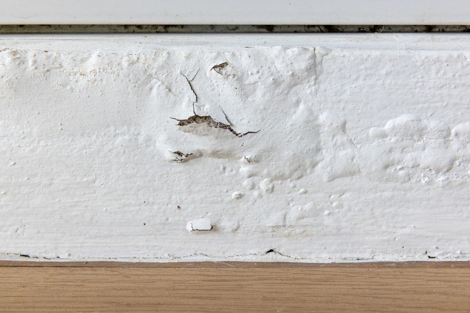 Blistering exterior paint caused by coating or moisture failure