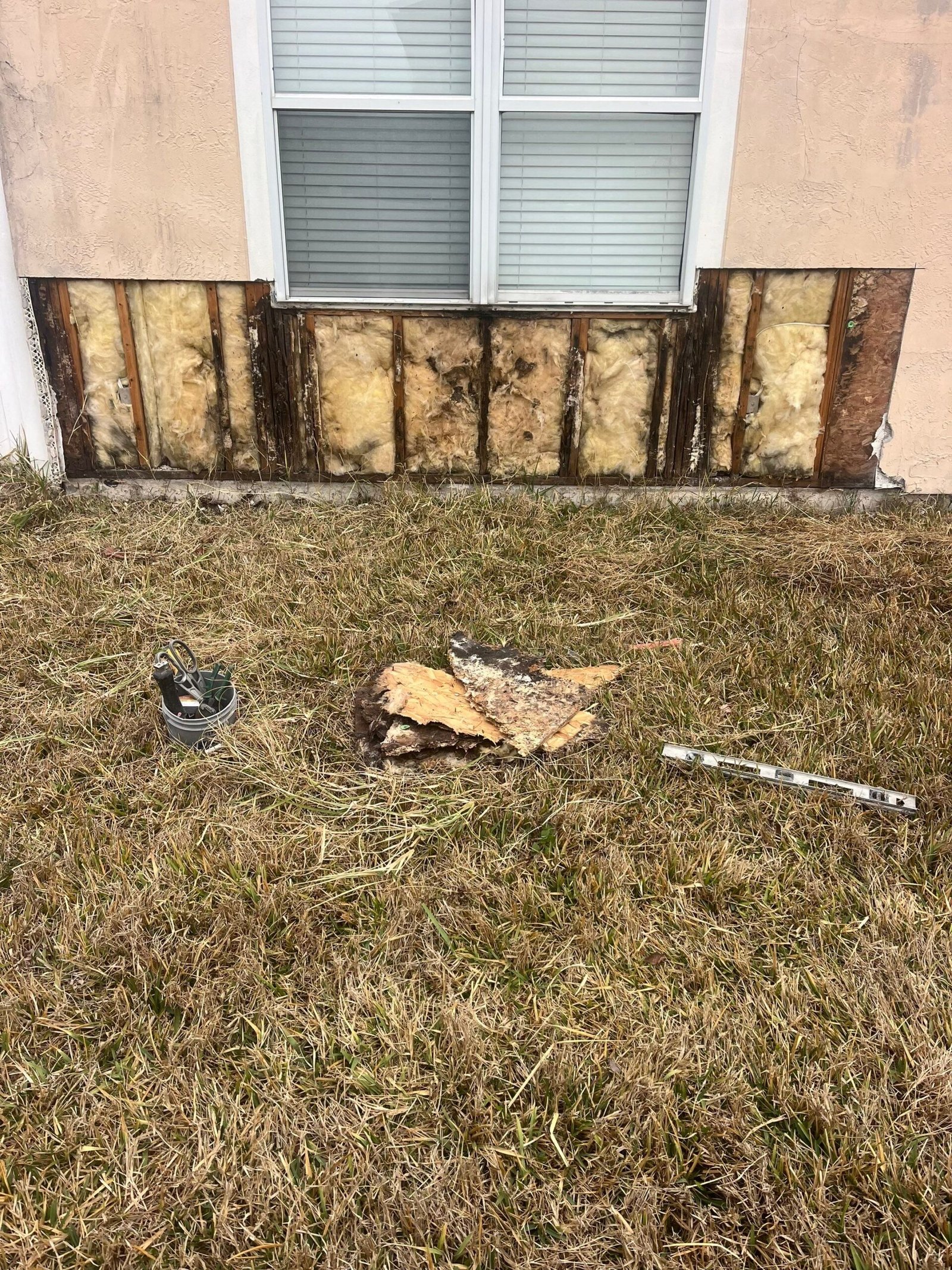 Damaged OSB sheathing exposed after delaminated stucco was removed